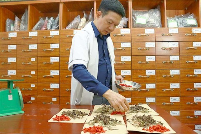 Lương y Đỗ Minh Tuấn cùng các chuyên gia tại Viện y dược cổ truyền dân tộc đã nghiên cứu cẩn thận dược liệu trước khi đưa vào sử dụng
